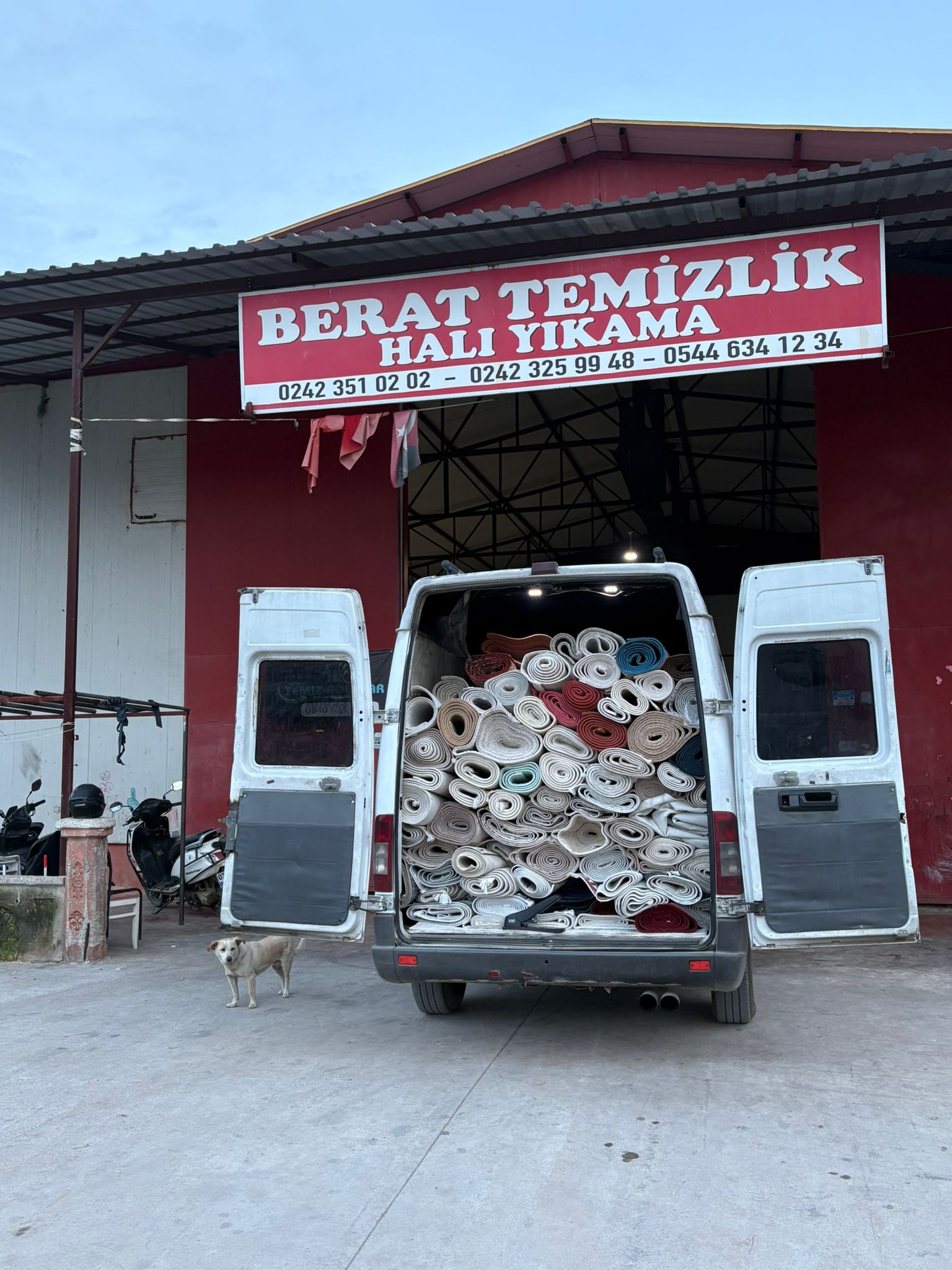 Antalya Hali Yikama Foto Galeri Berat 012